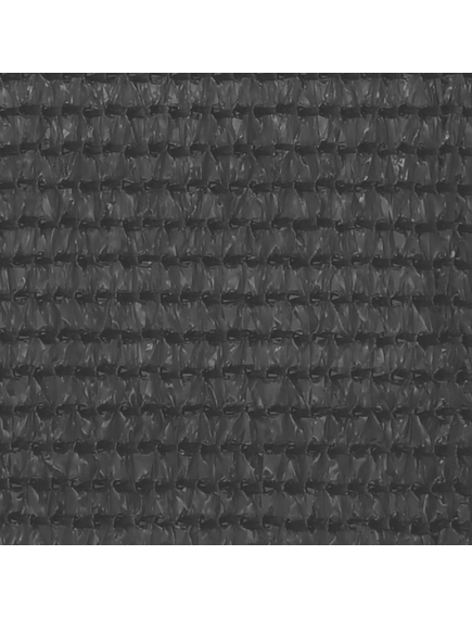 Covor pentru cort, negru, 250x300 cm, imaginea nr. 3