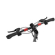 Trotineta electrica adulti RS 500 E20 48V 35Ah, imaginea nr. 2